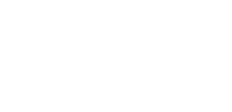 SuccesvolOndernemen logo